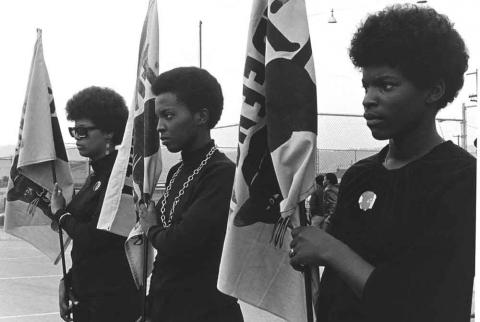 Black Panthers flags