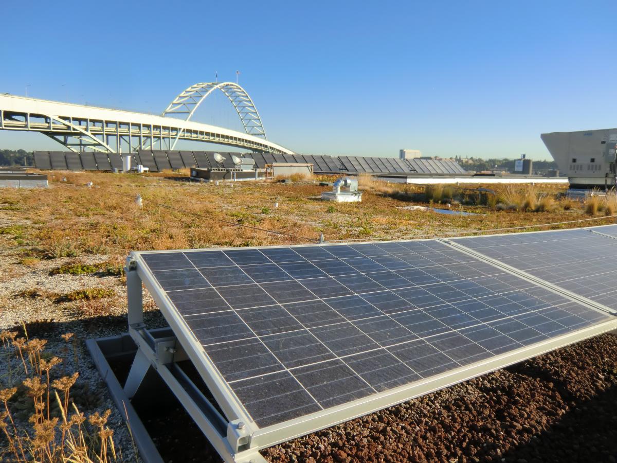 Oregon solar projects must benefit but how? Street Roots